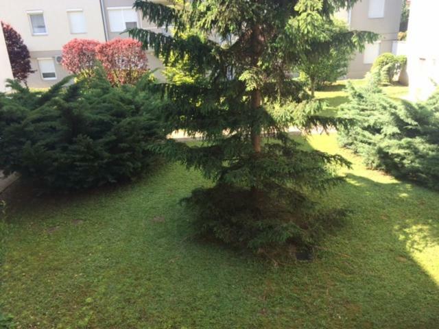 Rehab Apartment Хевиз Экстерьер фото